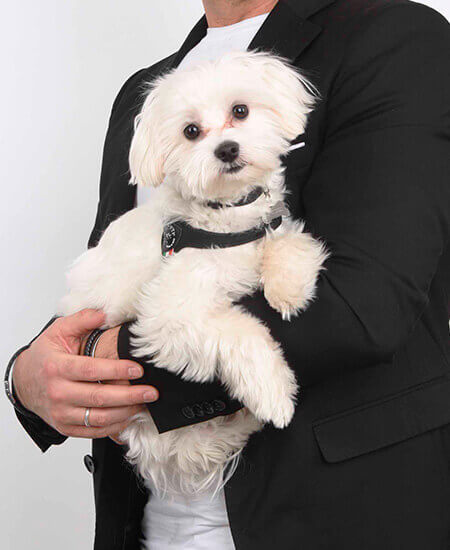 romeo
